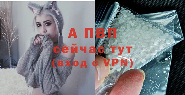 spice Аркадак